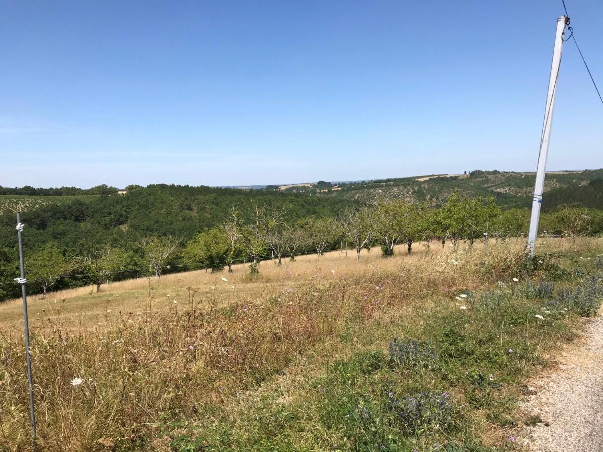 Natuur En Stilte In Een Bijzondere Omgeving Thezac  Экстерьер фото